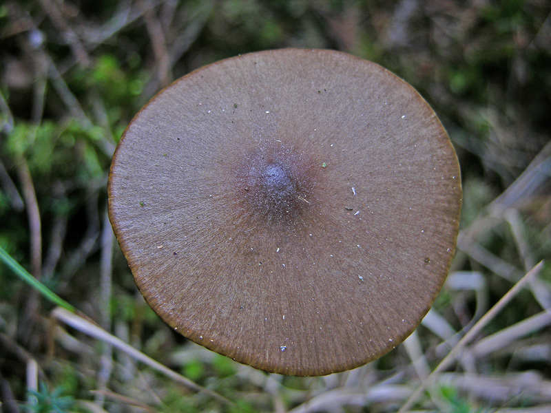 Qualcosa si muove...